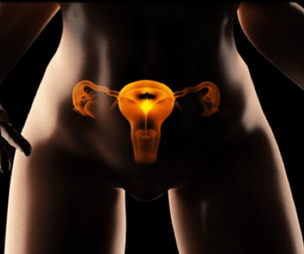 Fibroids on The Uterus,
what is the fibroids in the uterus
